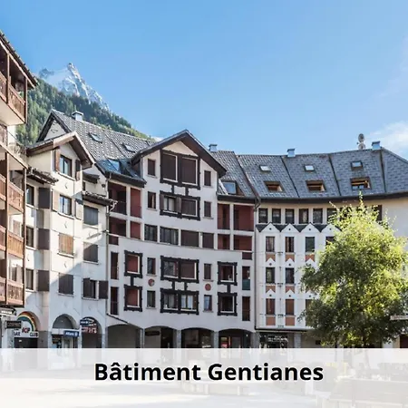 L'aiguille - Maeva - 2 Pieces 5 Personnes - Selection Mae-4175 Apartment